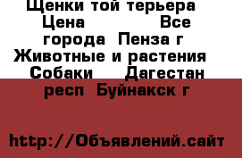 Щенки той терьера › Цена ­ 10 000 - Все города, Пенза г. Животные и растения » Собаки   . Дагестан респ.,Буйнакск г.